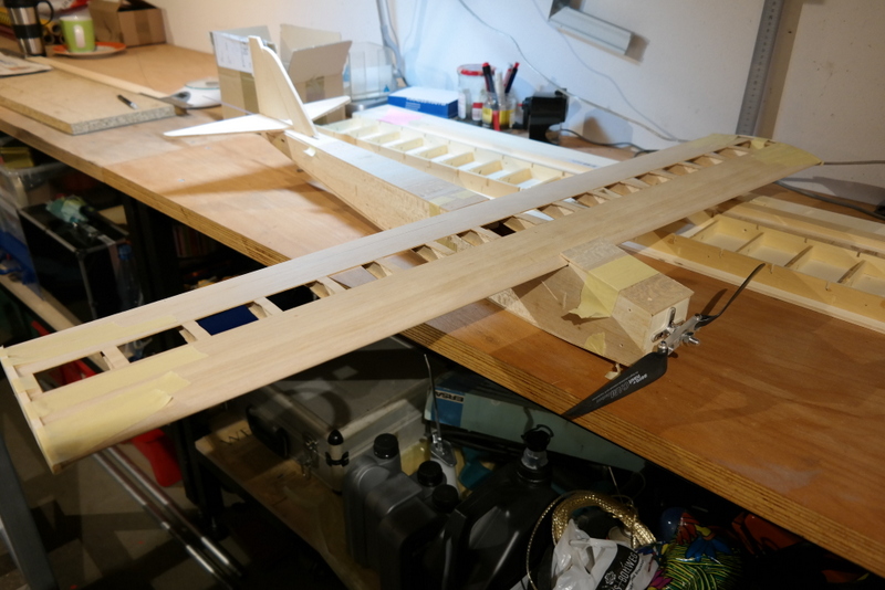 Sieht bereits aus wie ein Gnumpf!