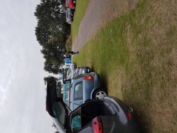 Rentnerfliegen 2018
