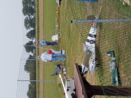 Rentnerfliegen 2018