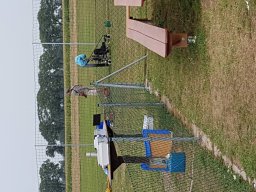Rentnerfliegen 2018